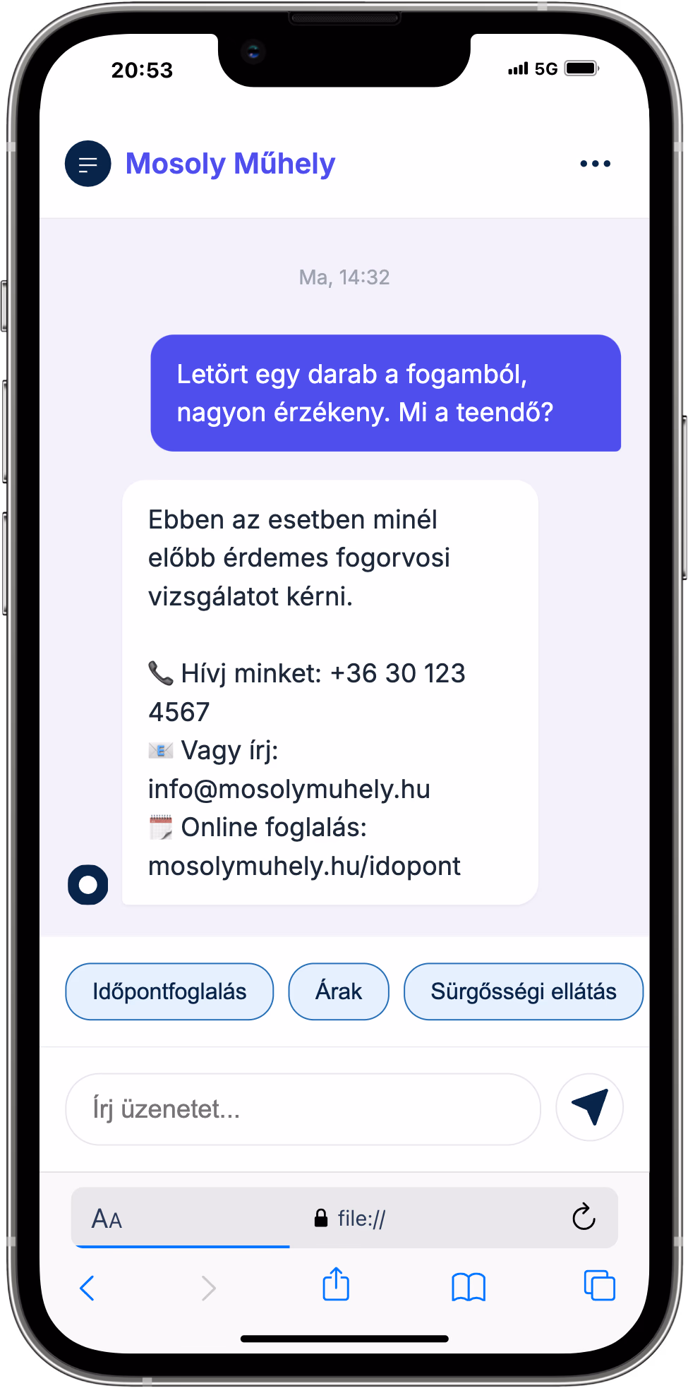 Customer Service AI Widget